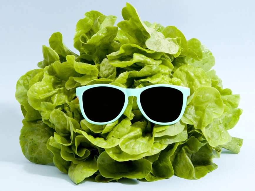 Daily Newsletter Happiest Health