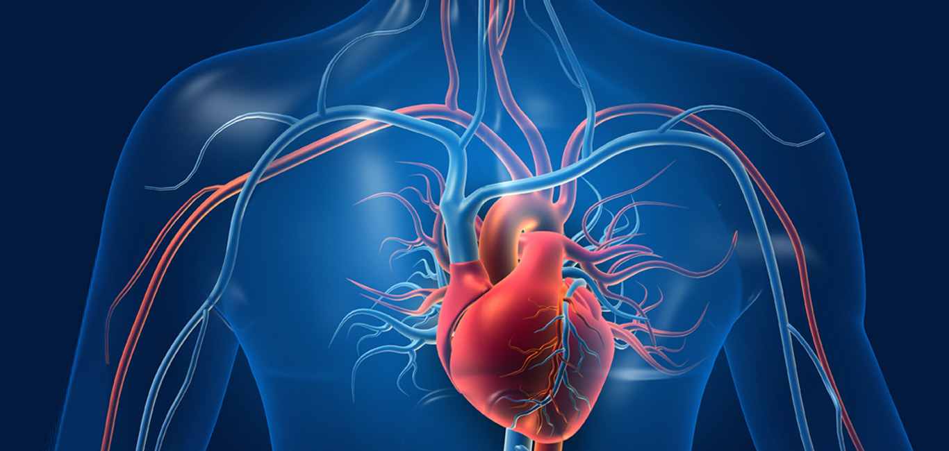 Cardiovascular Disease: Signs, Causes And Treatment - Happiest Health