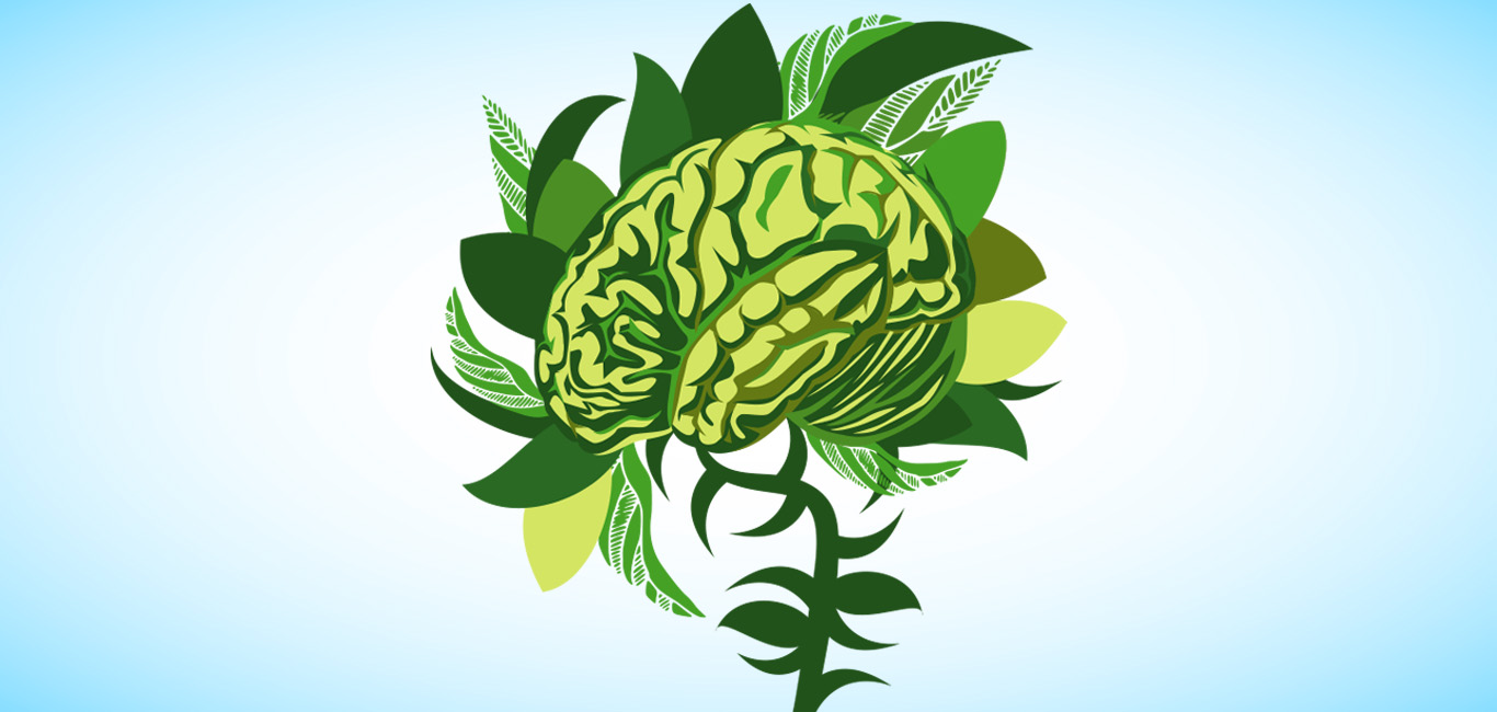 Ayurvedic way of living for better mental health Happiest Health